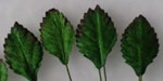 Wild Orchid Craft 25mm Mulberry Paper Rose Leaves