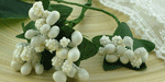 Bead Berry Spray Clusters White