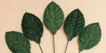 Wild Orchid Craft Mulberry Paper Leaves 30mm Green