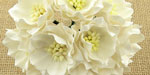 Wild Orchid Crafts Lotus Flower White RESTOCKED!