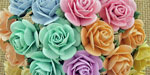 Wild Orchid Craft 10mm Open Roses Mixed Pastel