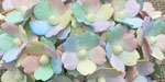 Wild Orchid Craft Sweetheart Blossoms Mixed Pastel Rainbow 