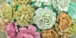 Wild Orchid Crafts 40mm Tea Roses Mixed Pastel