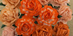 Wild Orchid Crafts 40mm Tea Roses Mixed Peach/Orange 