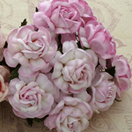 40 mm Tea Roses
