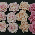 Trellis Roses