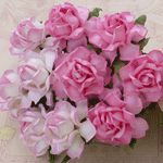 Cottage Roses