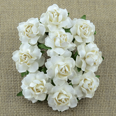 Wild Orchid Craft 25mm Cottage Roses White