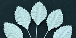 Wild Orchid Craft Mulberry Paper Leaves 40mm White
