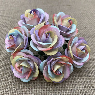 Chelsea Roses Rainbow Colored SALE!