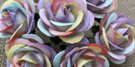 Chelsea Roses Rainbow Colored SALE!