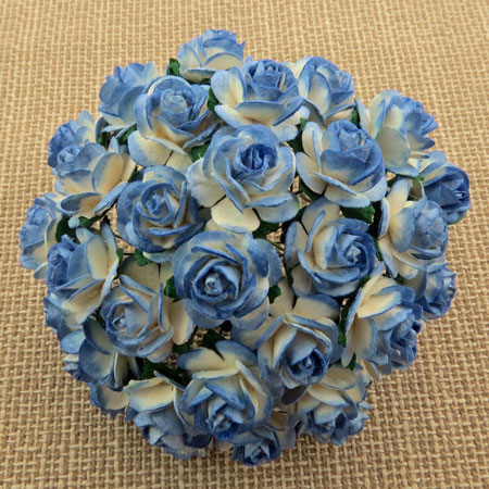 Wild Orchid Crafts Open Roses 2-Tone Blue