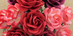 Wild Orchid Craft 40mm Trellis Roses Mixed Red Tones 