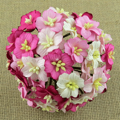 Wild Orchid Craft Apple Blossoms Mixed Pink