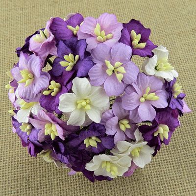 Wild Orchid Craft Apple Blossoms Mixed Purple