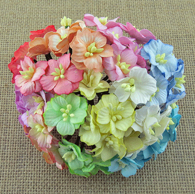 Wild Orchid Craft Apple Blossoms Mixed Pastel RESTOCKED!