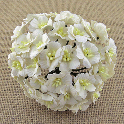 Wild Orchid Craft Apple Blossoms White RESTOCKED!