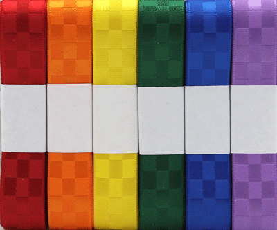 Checkerboard Satin Ribbon Assortment Primary 