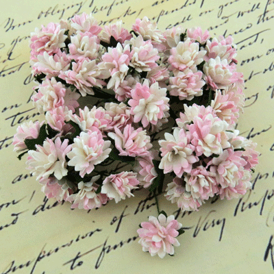 Wild Orchid Crafts Aster Daisy Stem Flowers 2-Tone Baby Pink/Ivory
