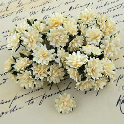 Wild Orchid Crafts Aster Daisy Stem Flowers Deep Ivory