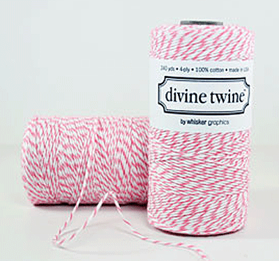 Baker's Twine Raspberry