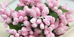 Bead Berry Spray Clusters Light Pink