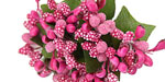 Bead Berry Spray Clusters Rose Red