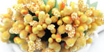 Bead Berry Spray Clusters Yellow
