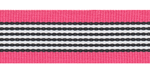 Bright Pink Zebra Stripe Grosgrain
