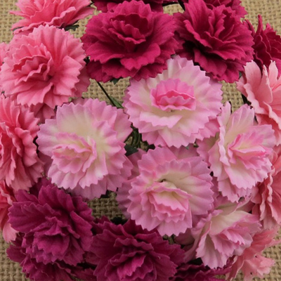 Wild Orchid Crafts Carnations Mixed Pink
