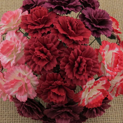 Wild Orchid Crafts Carnations Mixed Red