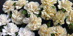 Wild Orchid Crafts Carnations Mixed White/Cream