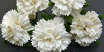 Wild Orchid Crafts Carnations White