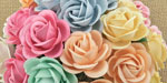 Chelsea Roses Mixed Pastel 