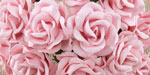 Chelsea Roses Pale Pink 