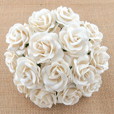 Chelsea Roses White RESTOCKED!