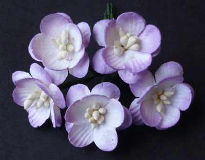 Wild Orchid Craft Cherry Blossoms 2-Tone Lilac