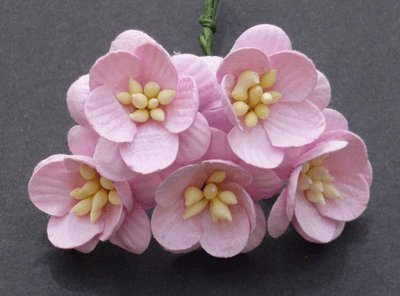 Wild Orchid Craft Cherry Blossoms Baby Pink