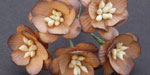 Wild Orchid Craft Cherry Blossoms 2-Tone Chocolate Brown