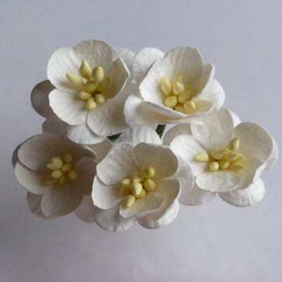 Wild Orchid Craft Cherry Blossoms Ivory
