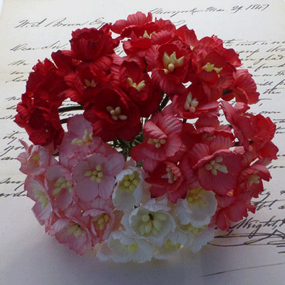 Wild Orchid Craft Cherry Blossoms Mixed Red/White