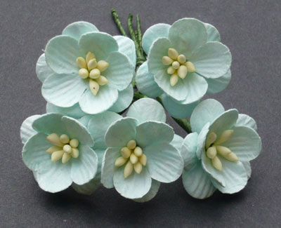 Wild Orchid Craft Cherry Blossoms Pastel Green RESTOCKED!