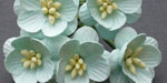 Wild Orchid Craft Cherry Blossoms Pastel Green RESTOCKED!