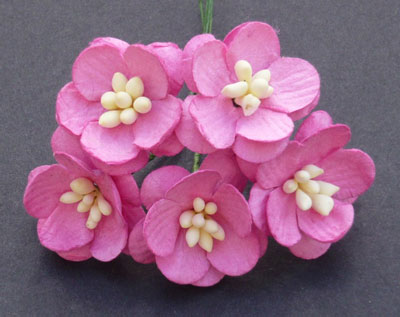 Wild Orchid Craft Cherry Blossoms Pink 