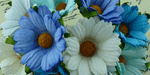 Wild Orchid Craft Chrysanthemums Mixed Blue/Aqua/White