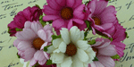 Wild Orchid Craft Chrysanthemums Mixed Pink/White 
