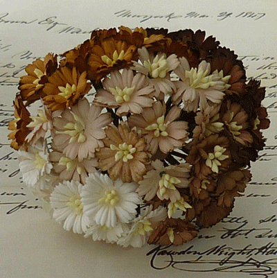 Wild Orchid Craft Cosmos Daisy Stem Flowers Brown/White