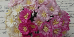 Wild Orchid Craft Cosmos Daisy Stem Flowers Mixed Pink/White