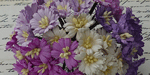 Wild Orchid Craft Cosmos Daisy Stem Flowers Mixed Purple/White 