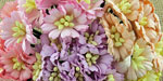 Wild Orchid Craft Cosmos Daisy Stem Flowers Mixed Pastel